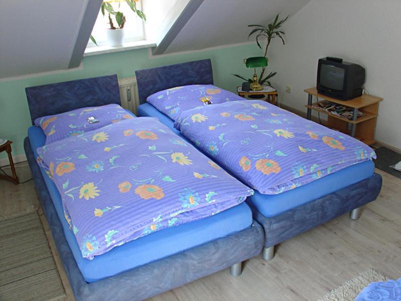 Hotel-Pension Koenigswald Dresden Rum bild